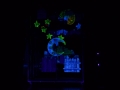 JIM_2725