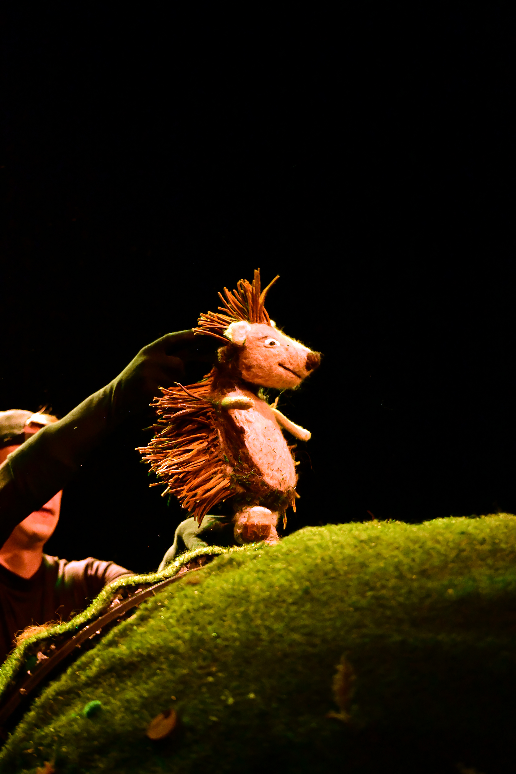 KOPhoto_JezevaKucica_0010