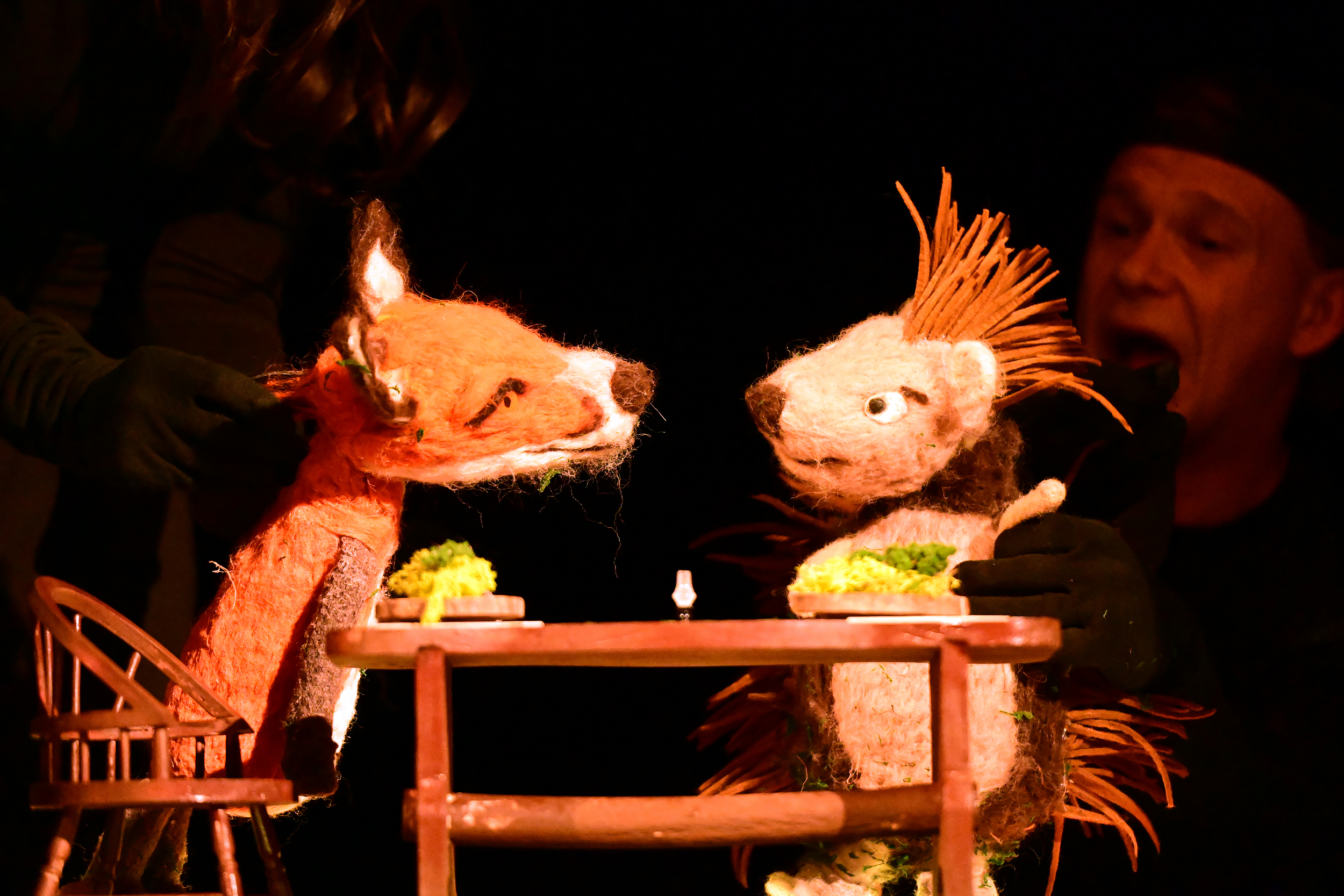 KOPhoto_JezevaKucica_0032