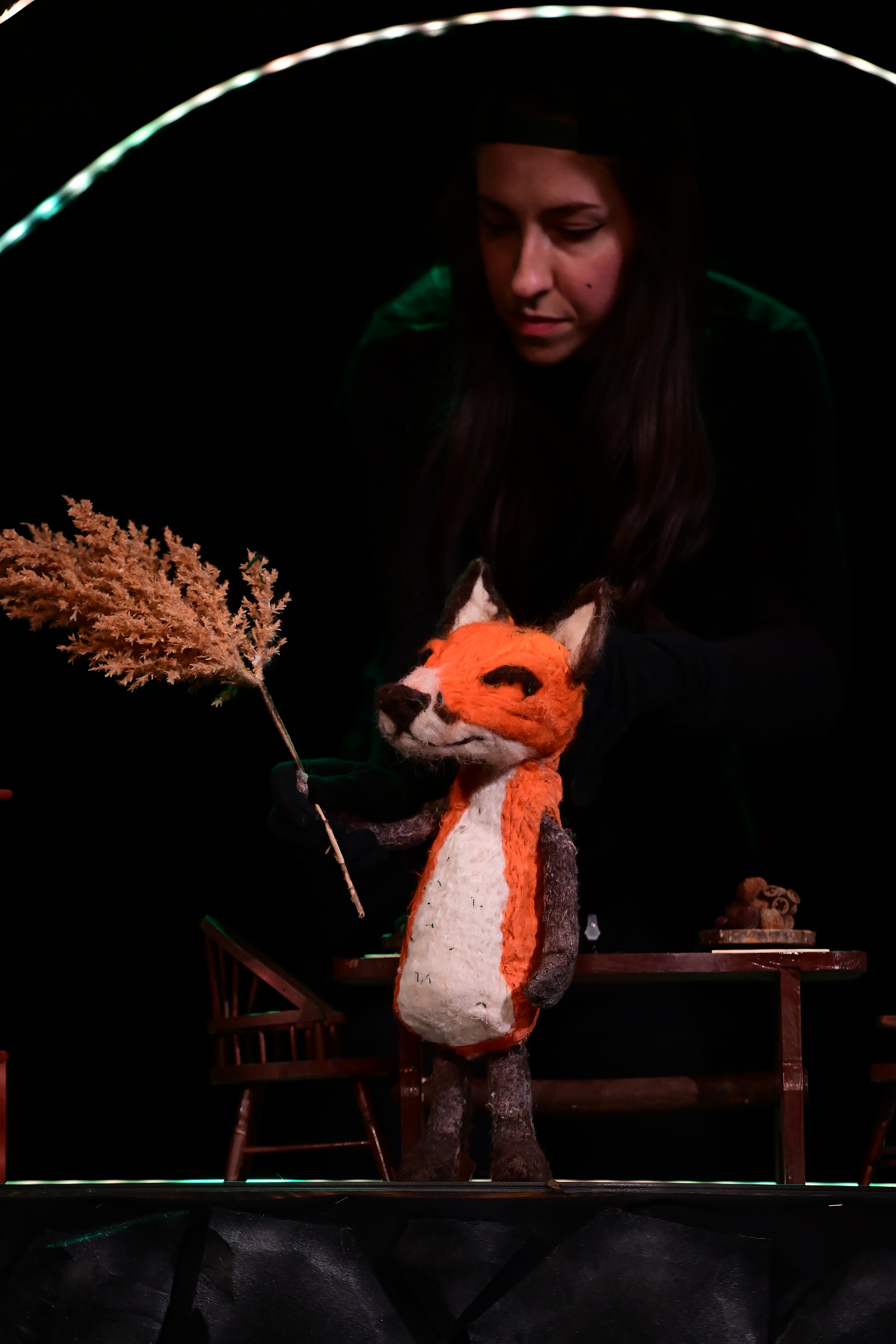 KOPhoto_JezevaKucica_0073