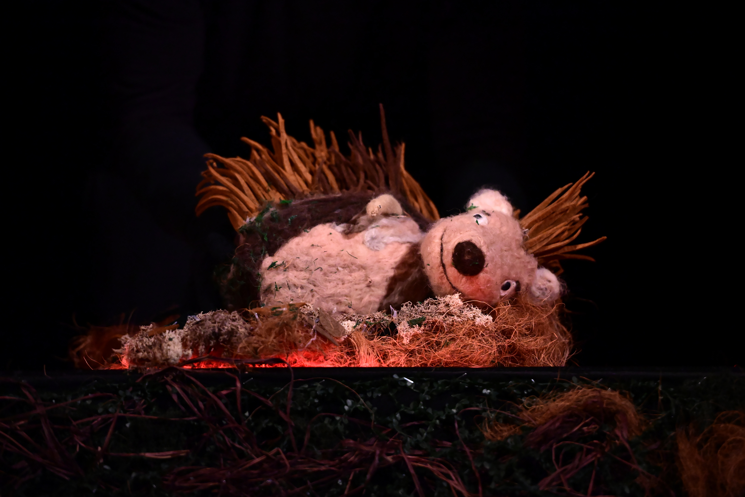 KOPhoto_JezevaKucica_0084